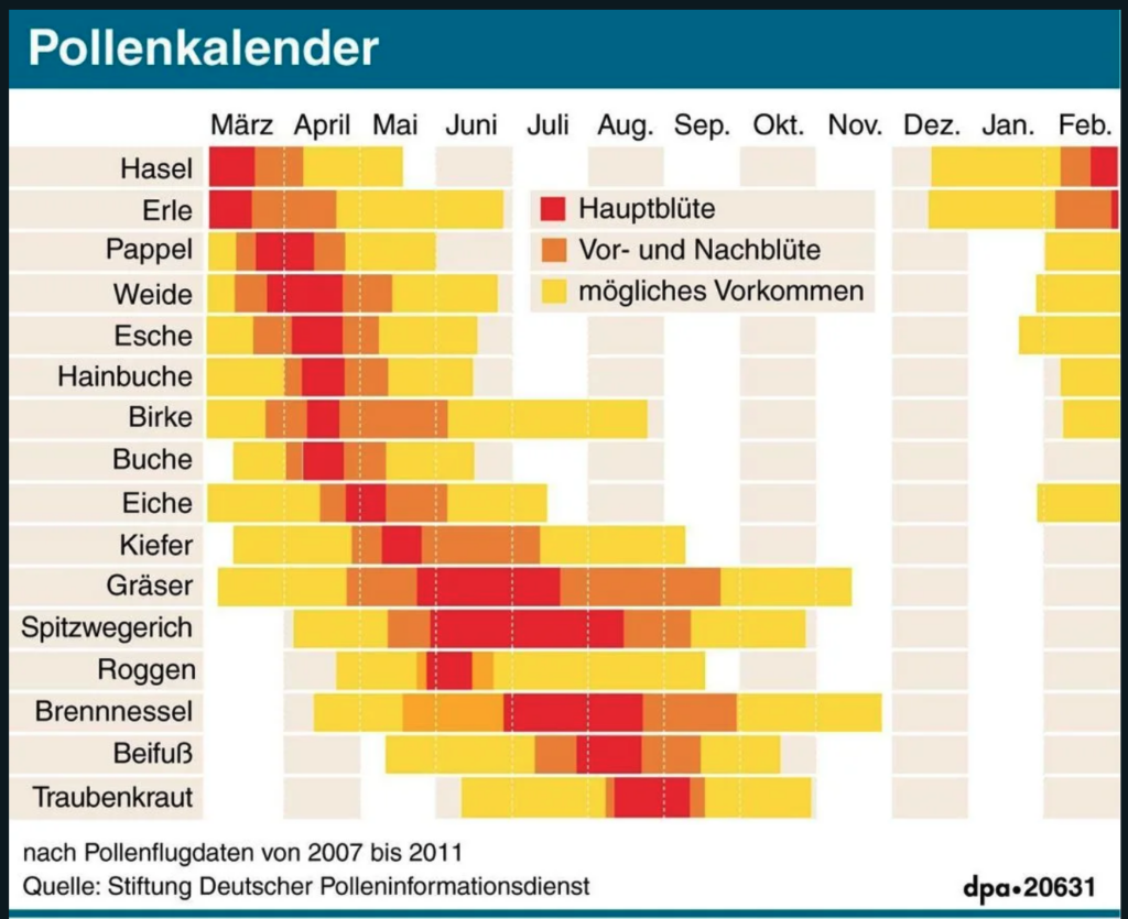 Pollenkalender der Stiftung Deutscher Polleninformationsdienst, beginnend im Frühling